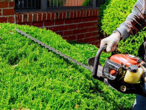Trimming in Covington