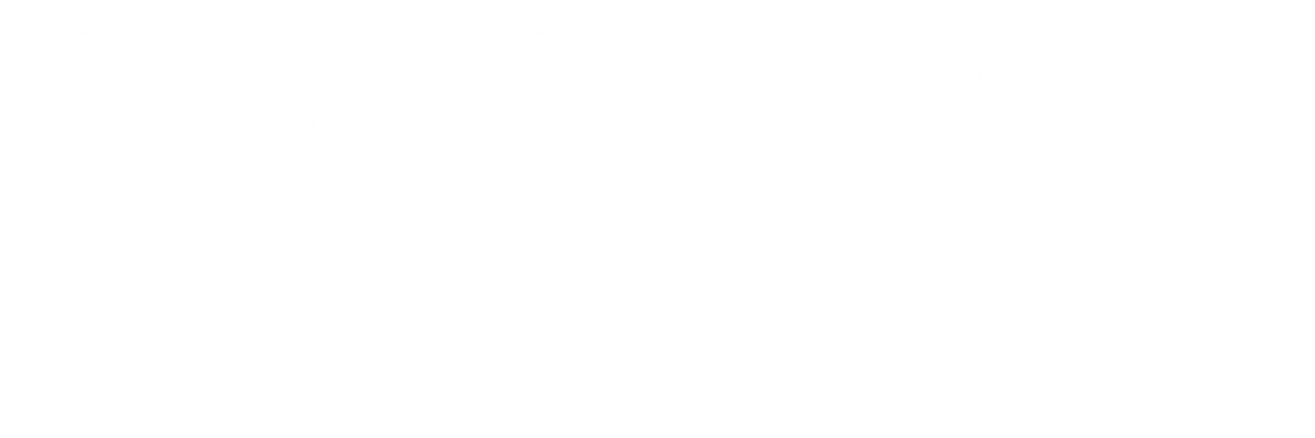 Notary Pin — Mobile Notary & Apostille Services