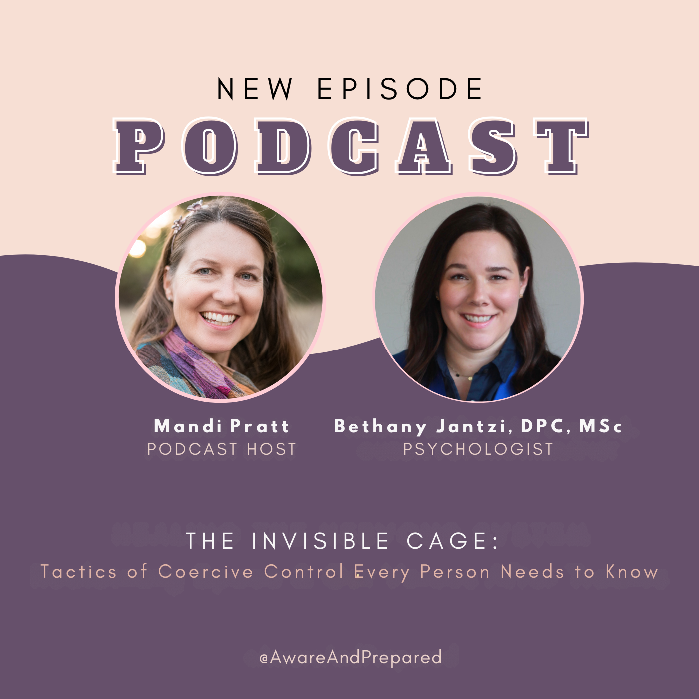 The Invisible Cage: Tactics of Coercive Control Every Person Needs to Know