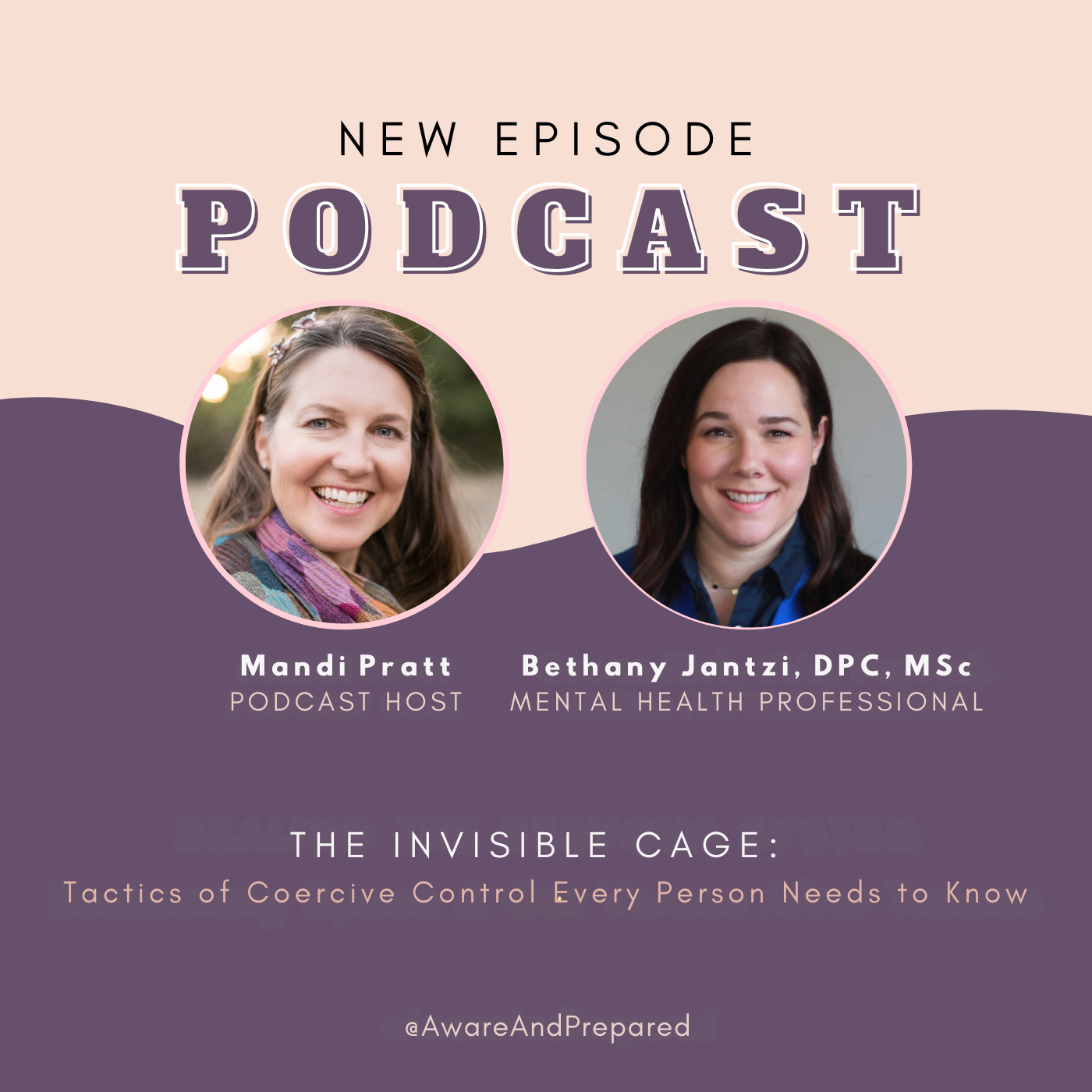 The Invisible Cage: Tactics of Coercive Control Every Person Needs to Know