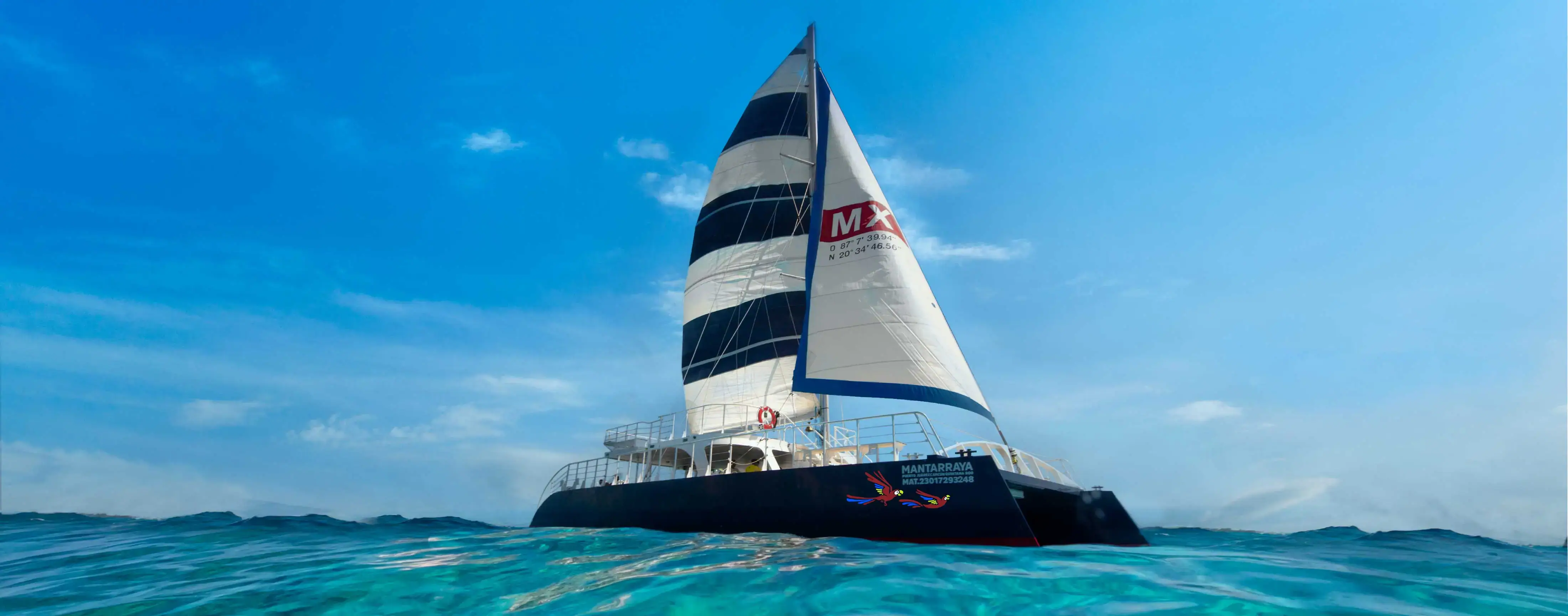 Catamarán VIP