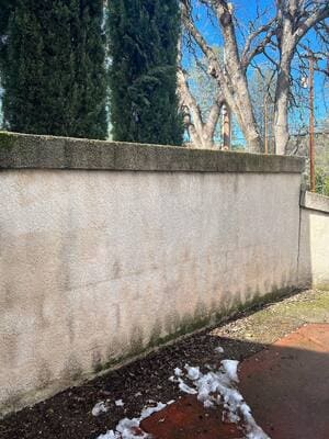 {{ custom_values.service_1 }} in {{custom_values.area_1})