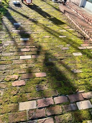 {{ custom_values.service_2 }} in {{custom_values.area_3})