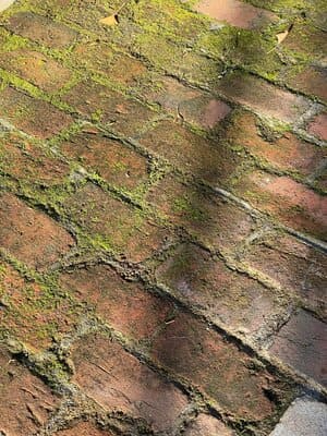 {{ custom_values.service_3 }} in {{custom_values.area_3})