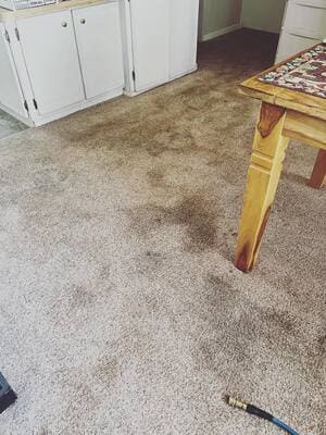 {{ custom_values.service_3 }} in {{custom_values.area_3})