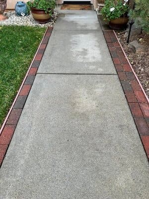 Pet urine and odor removal in Anderson California