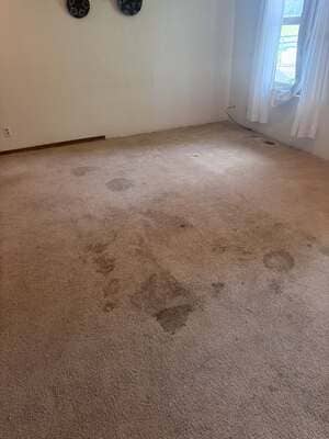 {{ custom_values.service_2 }} in {{custom_values.area_2})