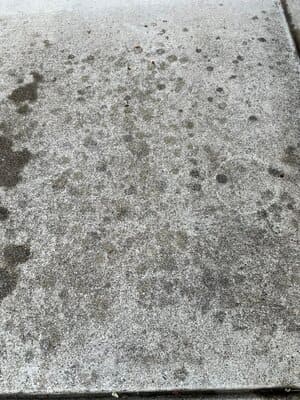 Carpet Cleaning in Redding, California