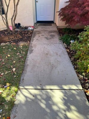 {{ custom_values.service_3 }} in {{custom_values.area_3})