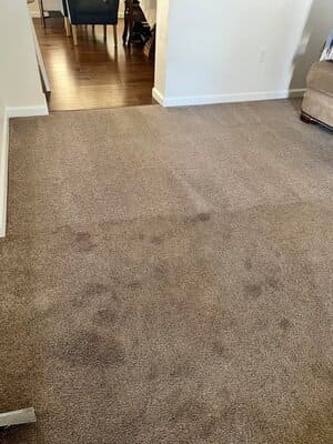 {{ custom_values.service_3 }} in {{custom_values.area_2})