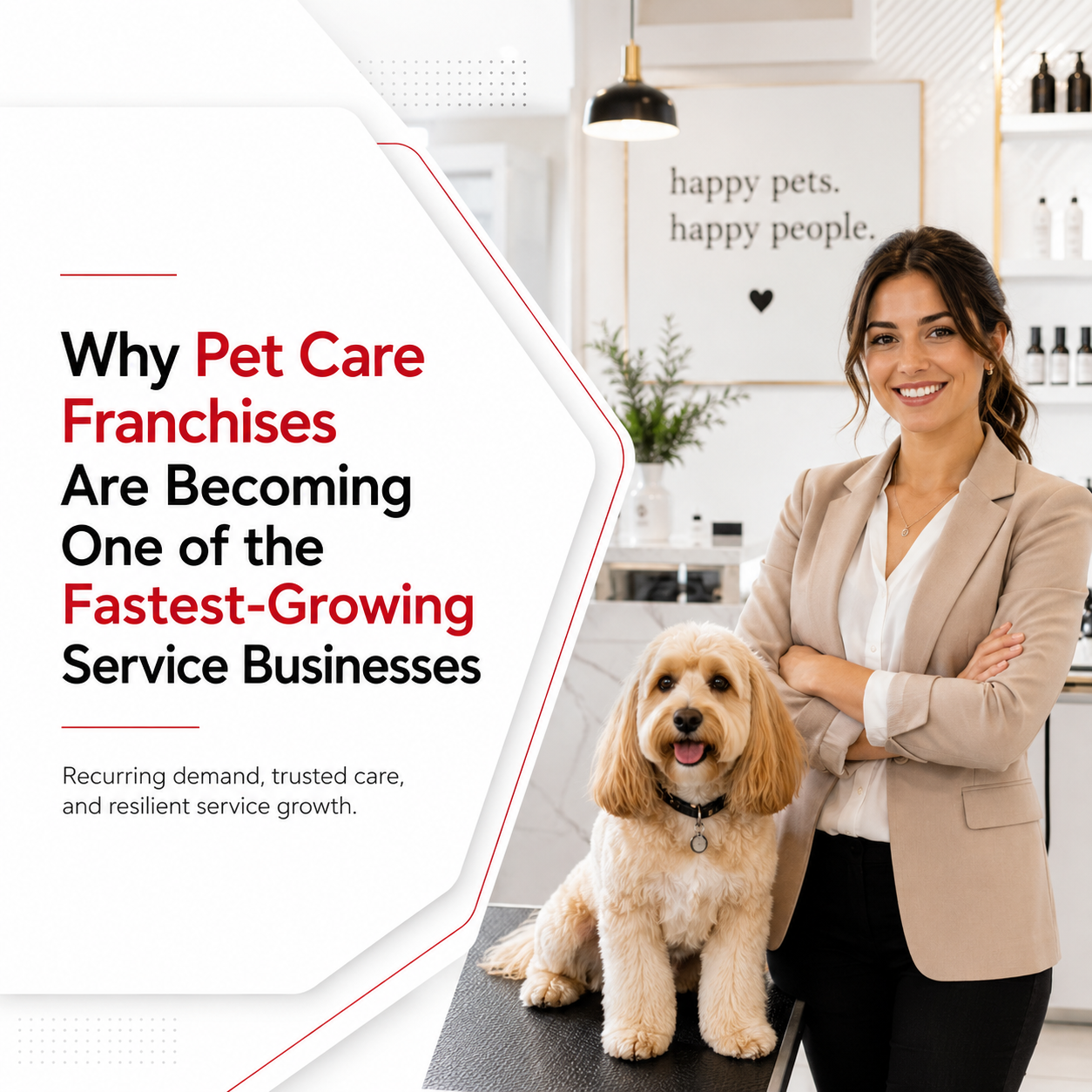 Why Pet Care Franchises Are Becoming One of the Fastest-Growing Service Businesses