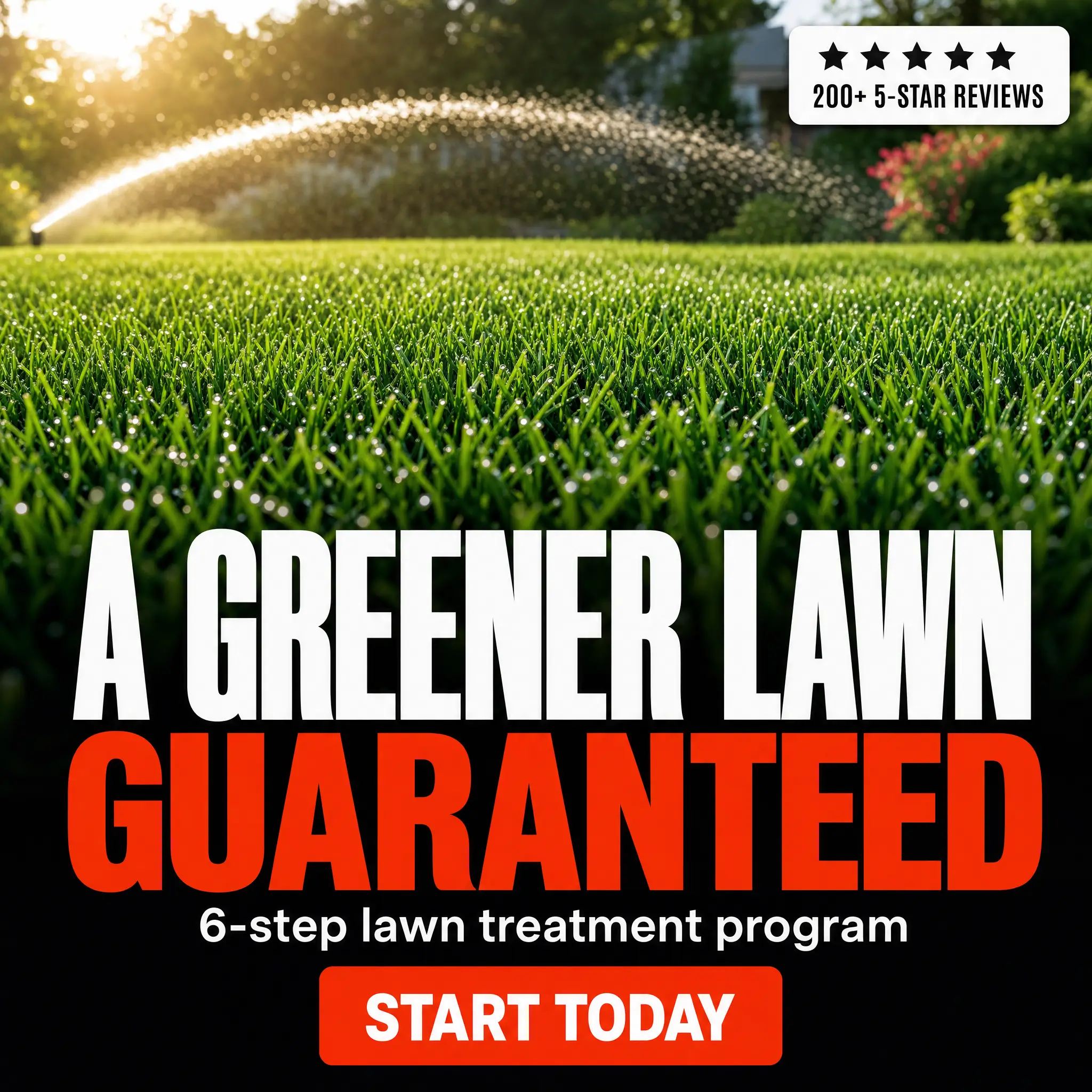 Sample lawn care ad concept: a greener lawn guarantee