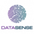 Datasense Logo