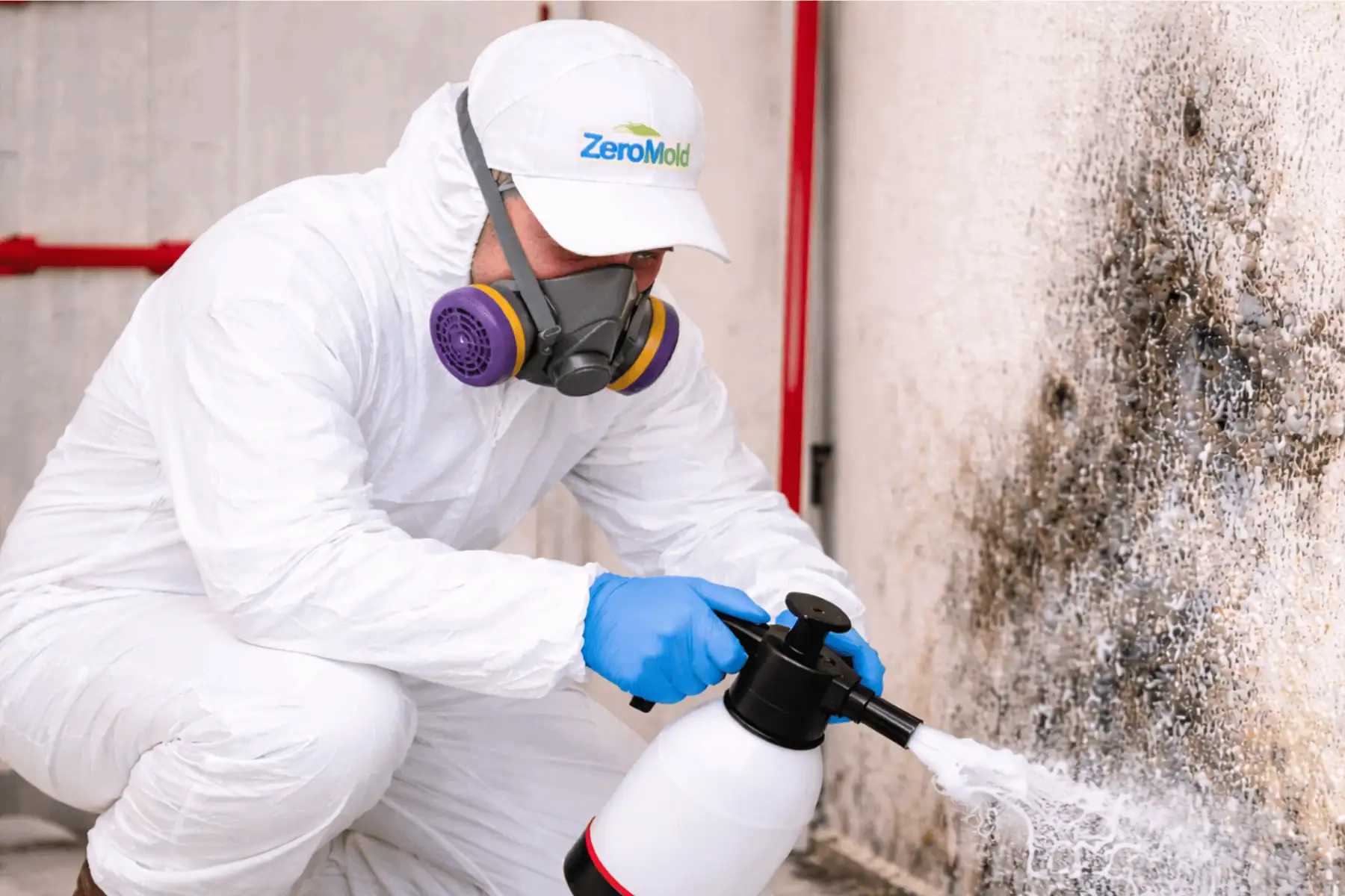 Mold technician spraying mold on wall