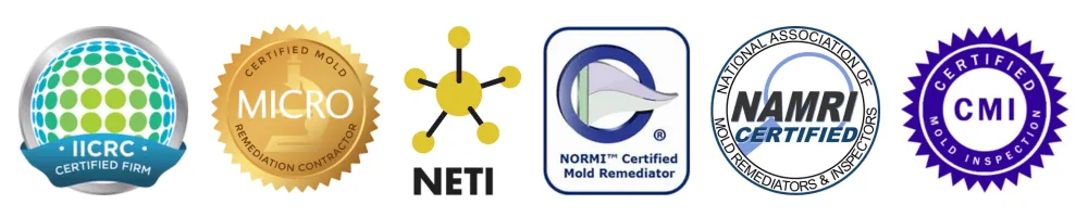 List of mold certifications