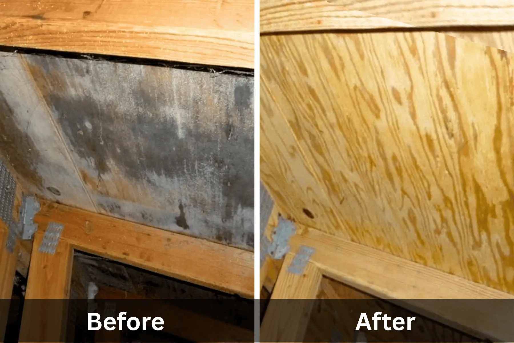 Before and after photo of mold removal in attic