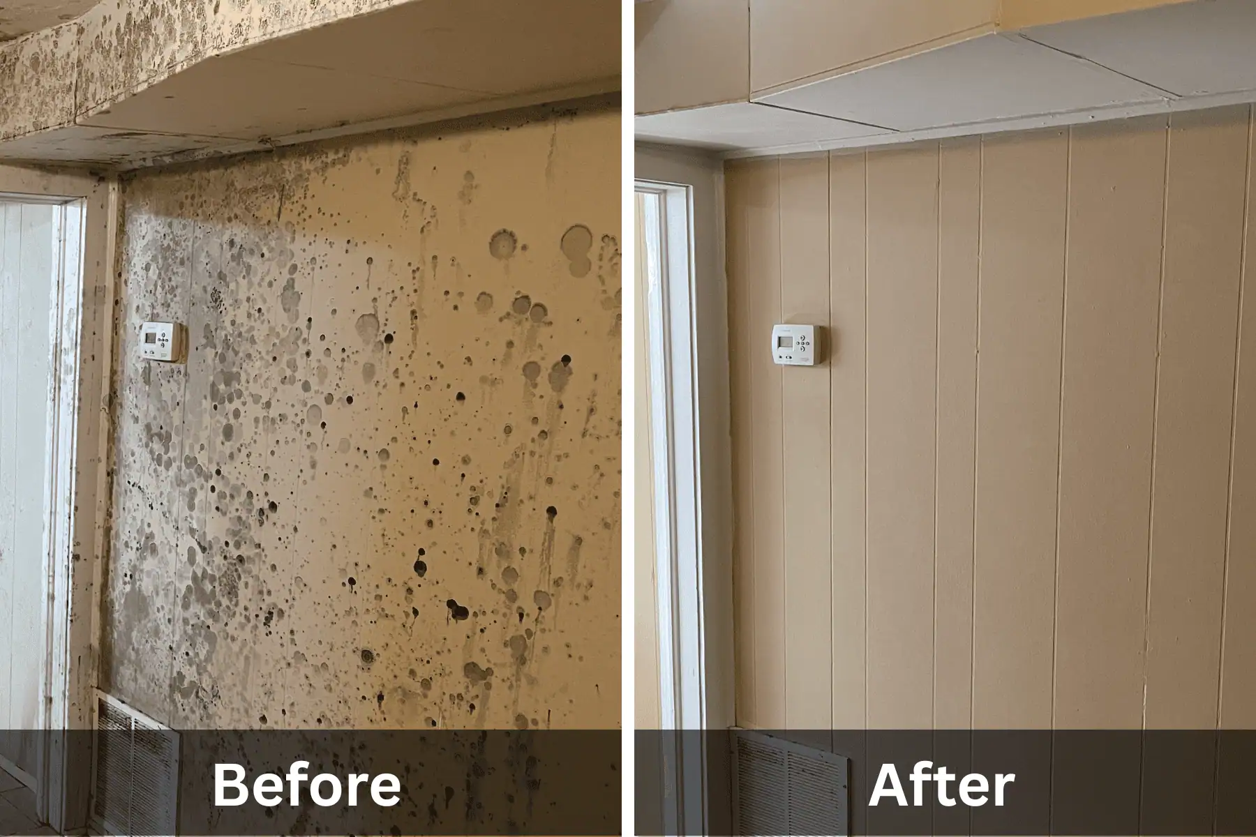 Before and after photo of mold removal on wall