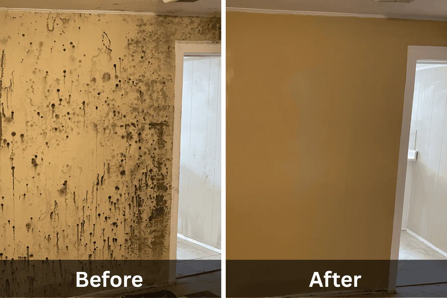 Before and after photo of mold removal interior wall