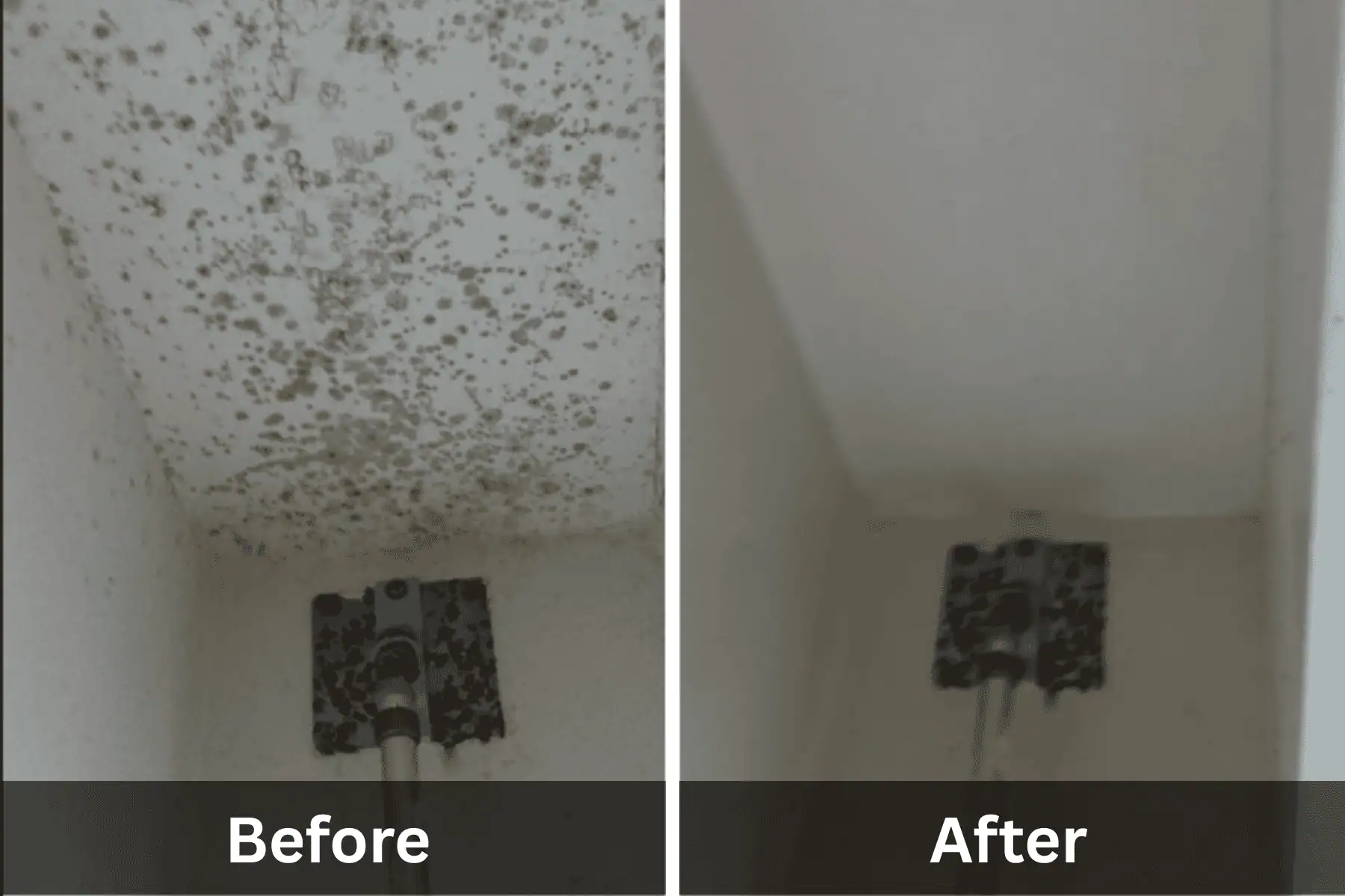 Before and after photo of mold removal on ceiling