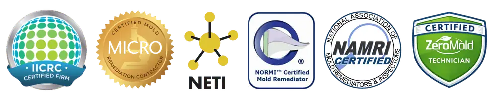List of mold certifications