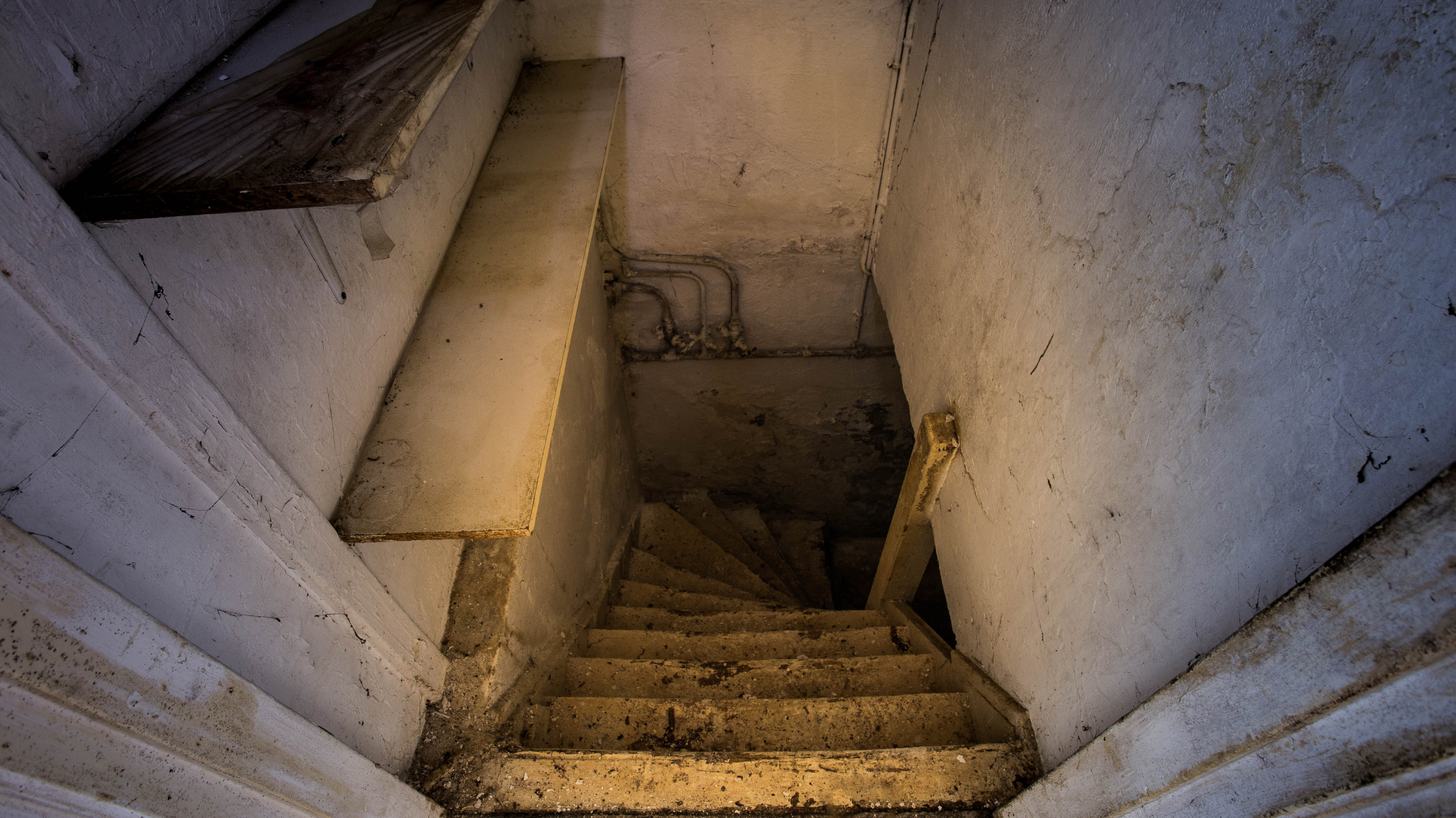Mold in concrete basement wall spreading along the surface
