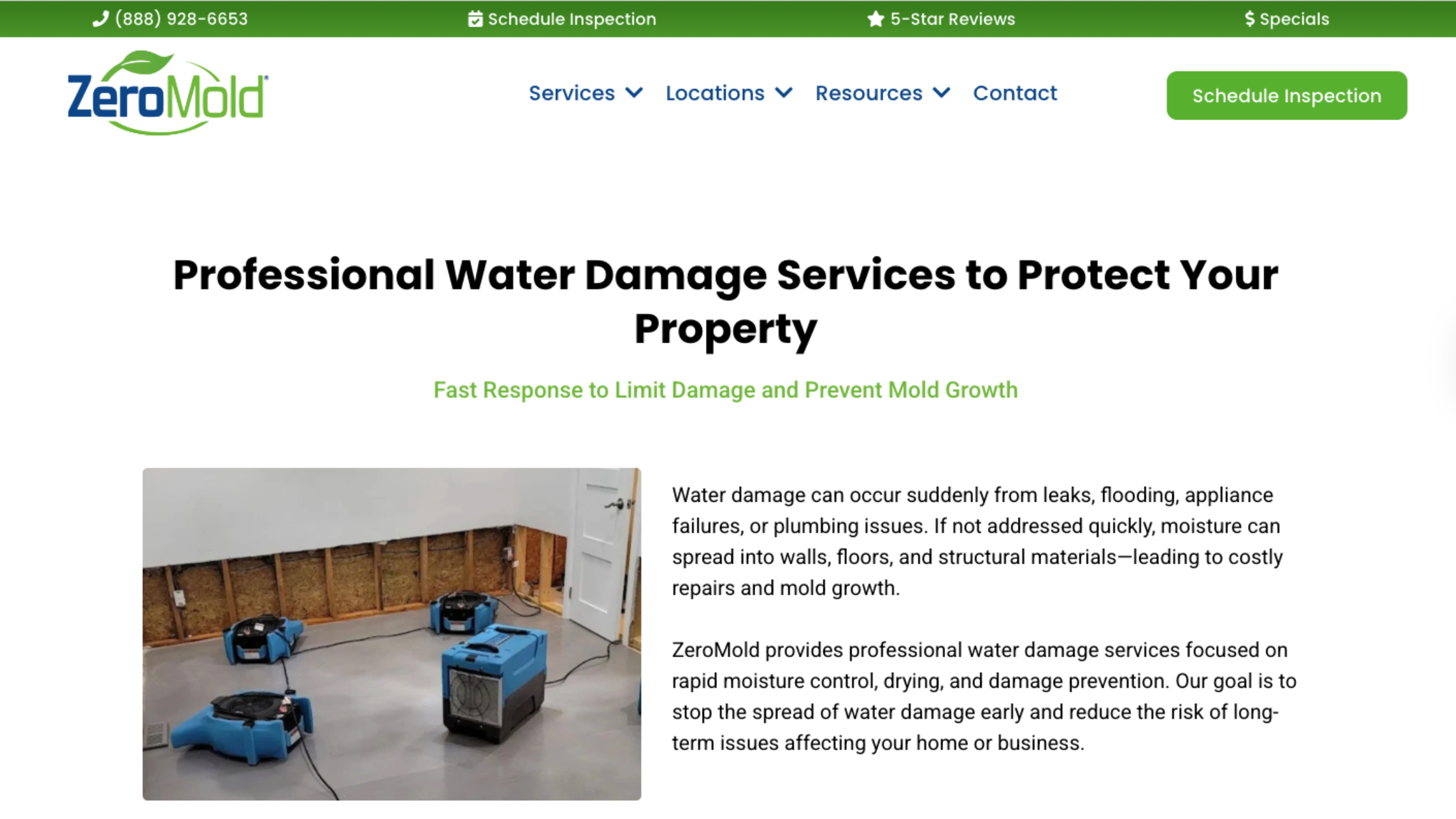 Professional checking apartment wall for mold growth