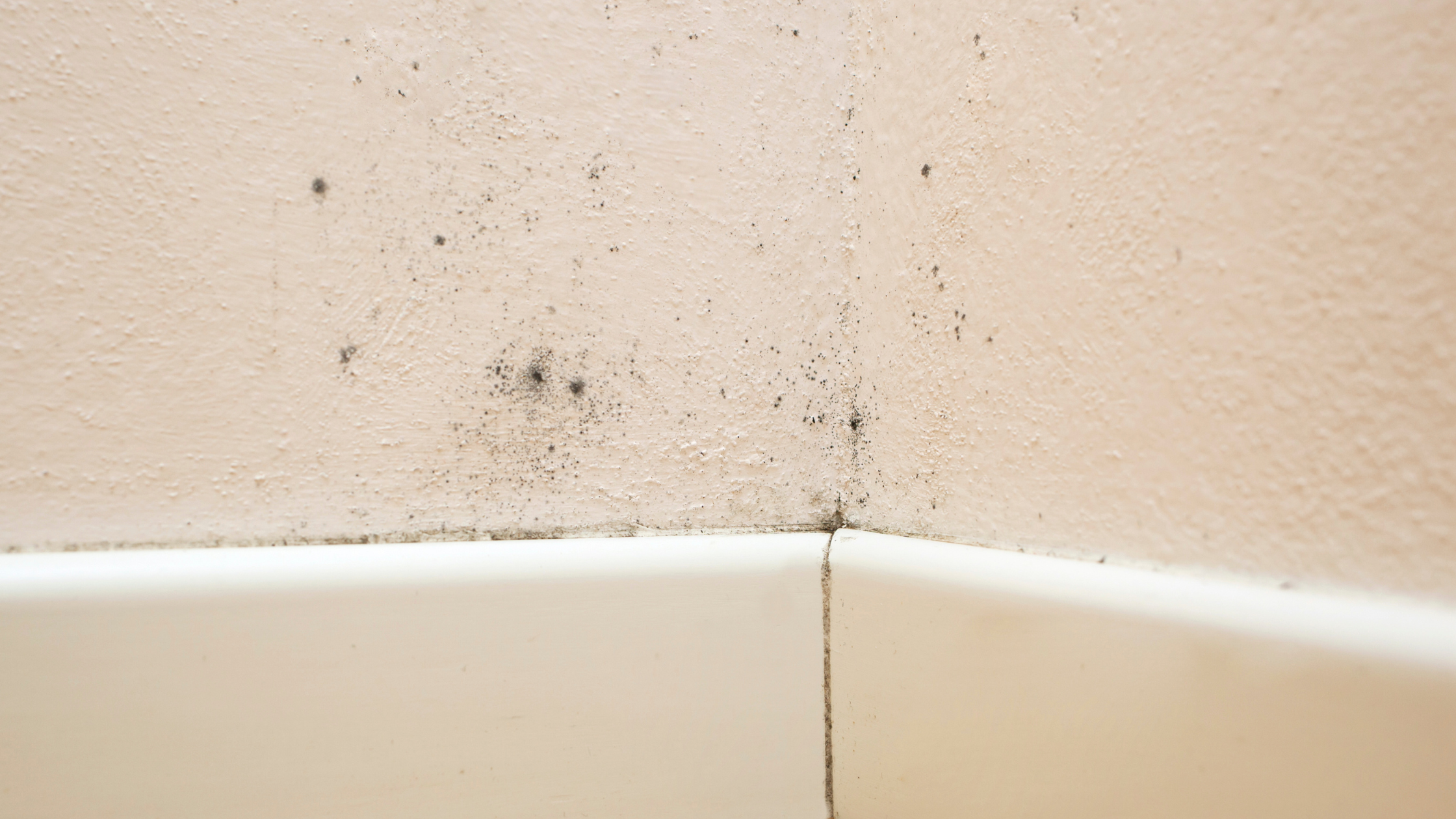 Black mold growing on a wall compared with normal dust buildup in a home