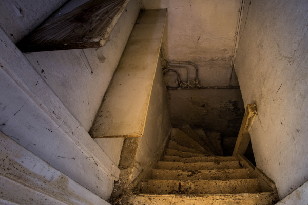 Do You Have Mold in Concrete? Here’s How to Tell