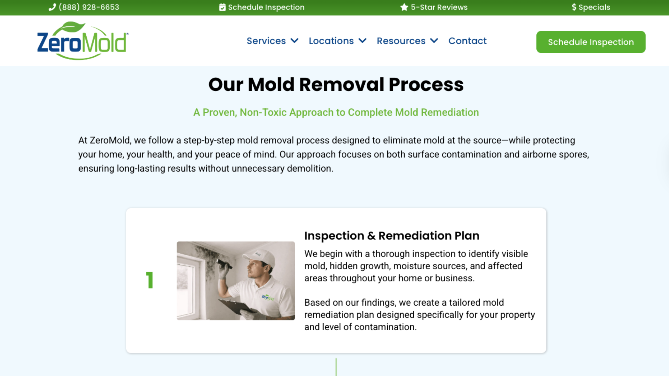 professional mold remediation removing wall mold