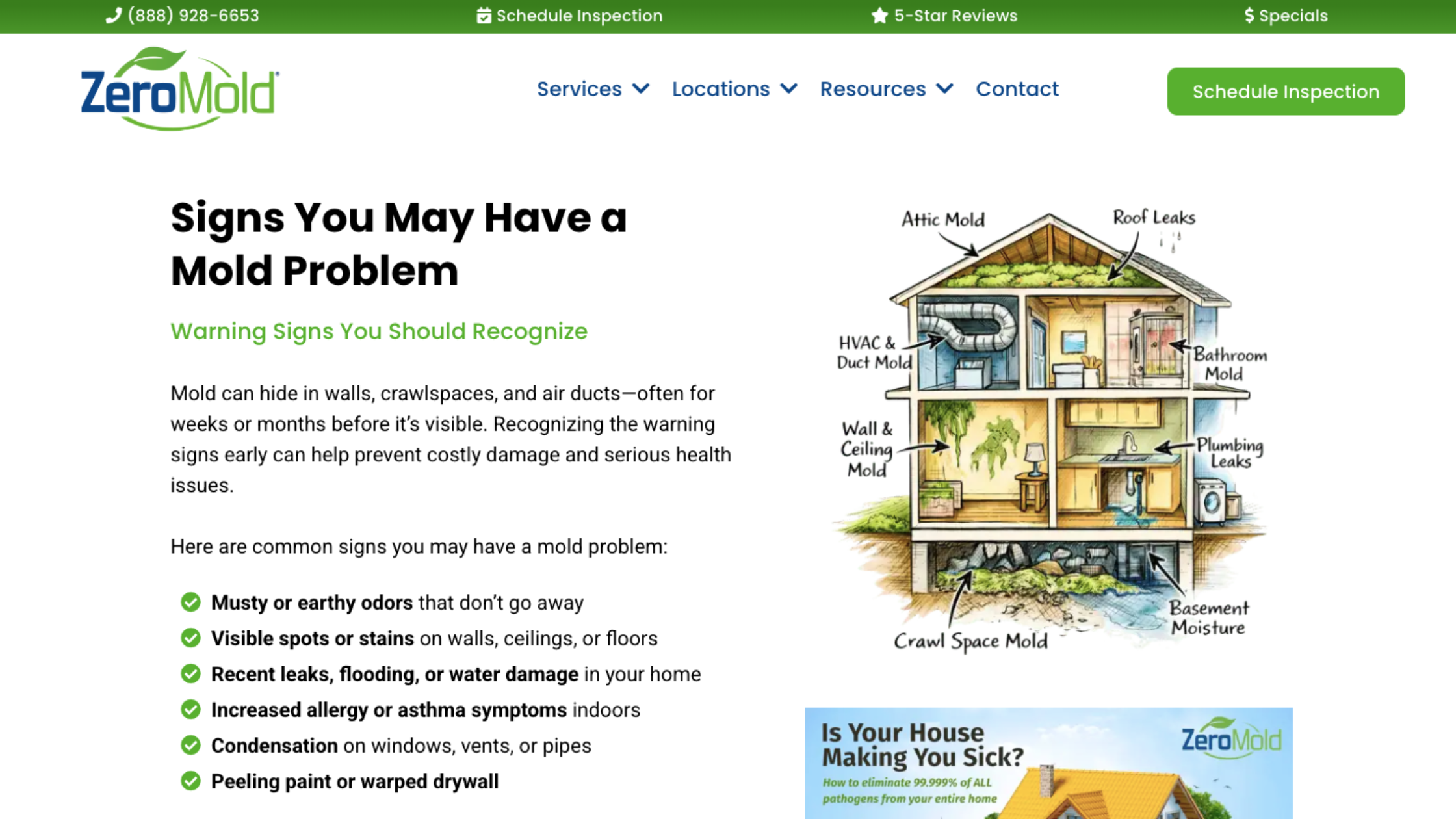 technician performing attic mold removal service