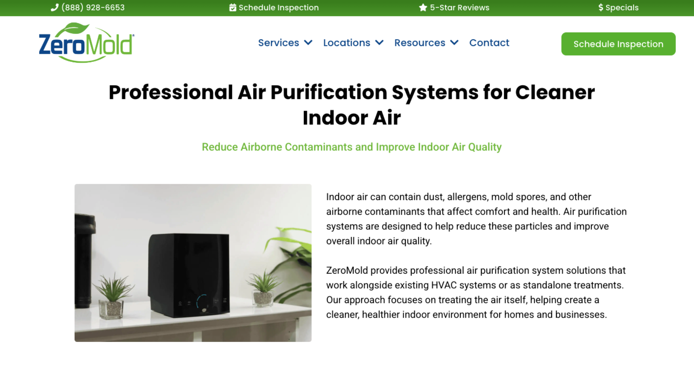 professional mold remediation after moisture damage