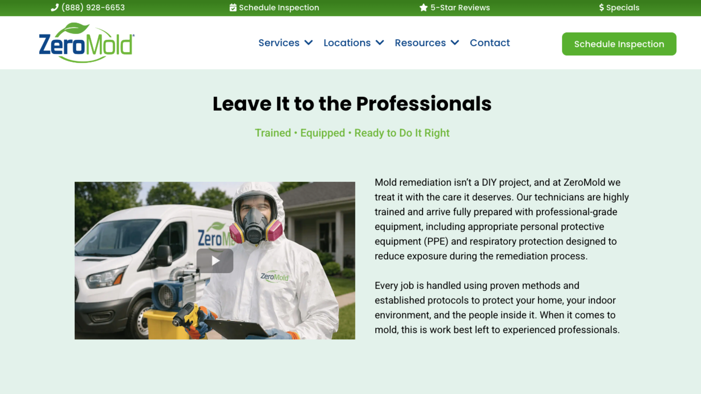 mold removal process to eliminate mold mites