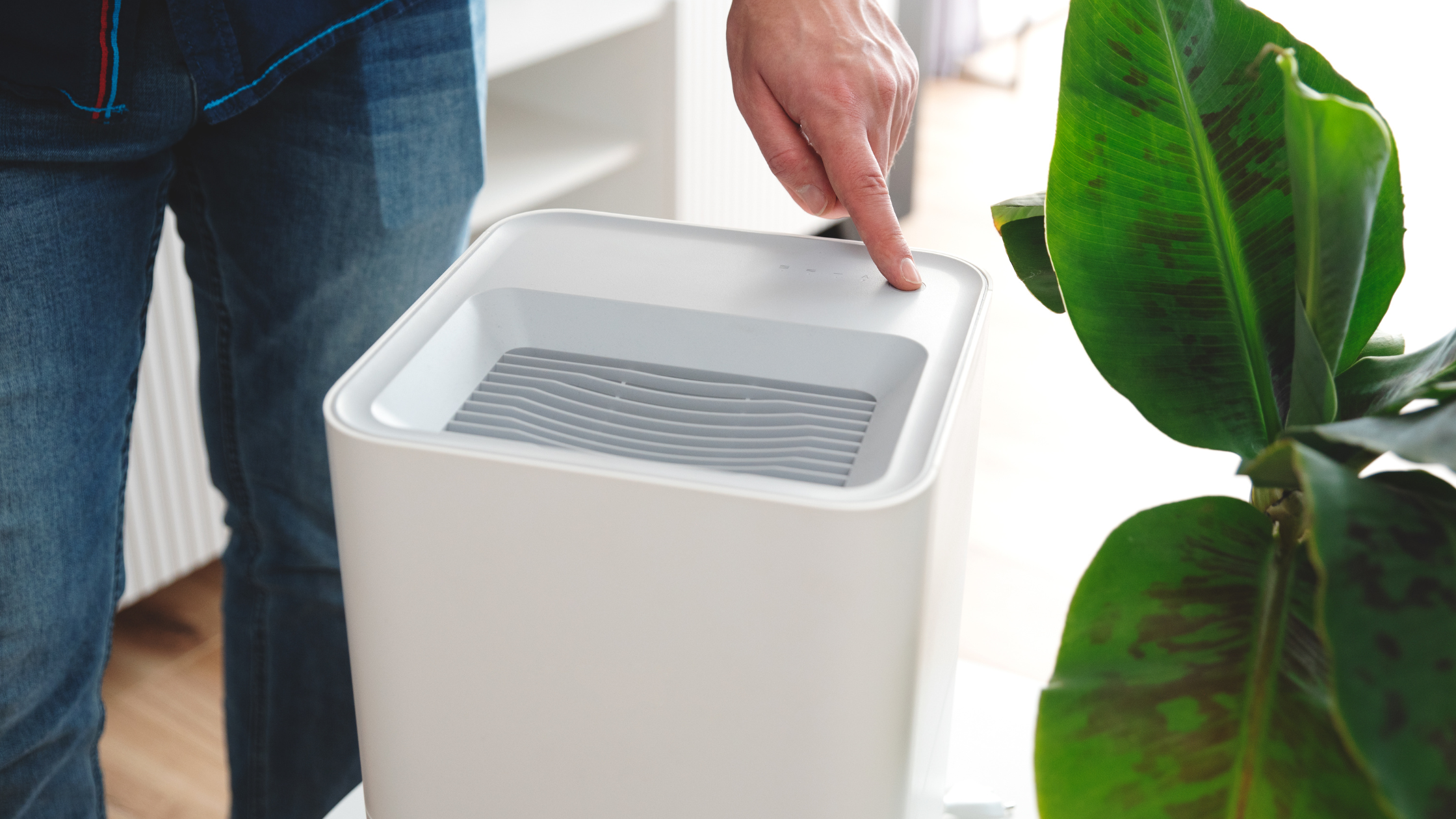 portable dehumidifier reducing indoor humidity