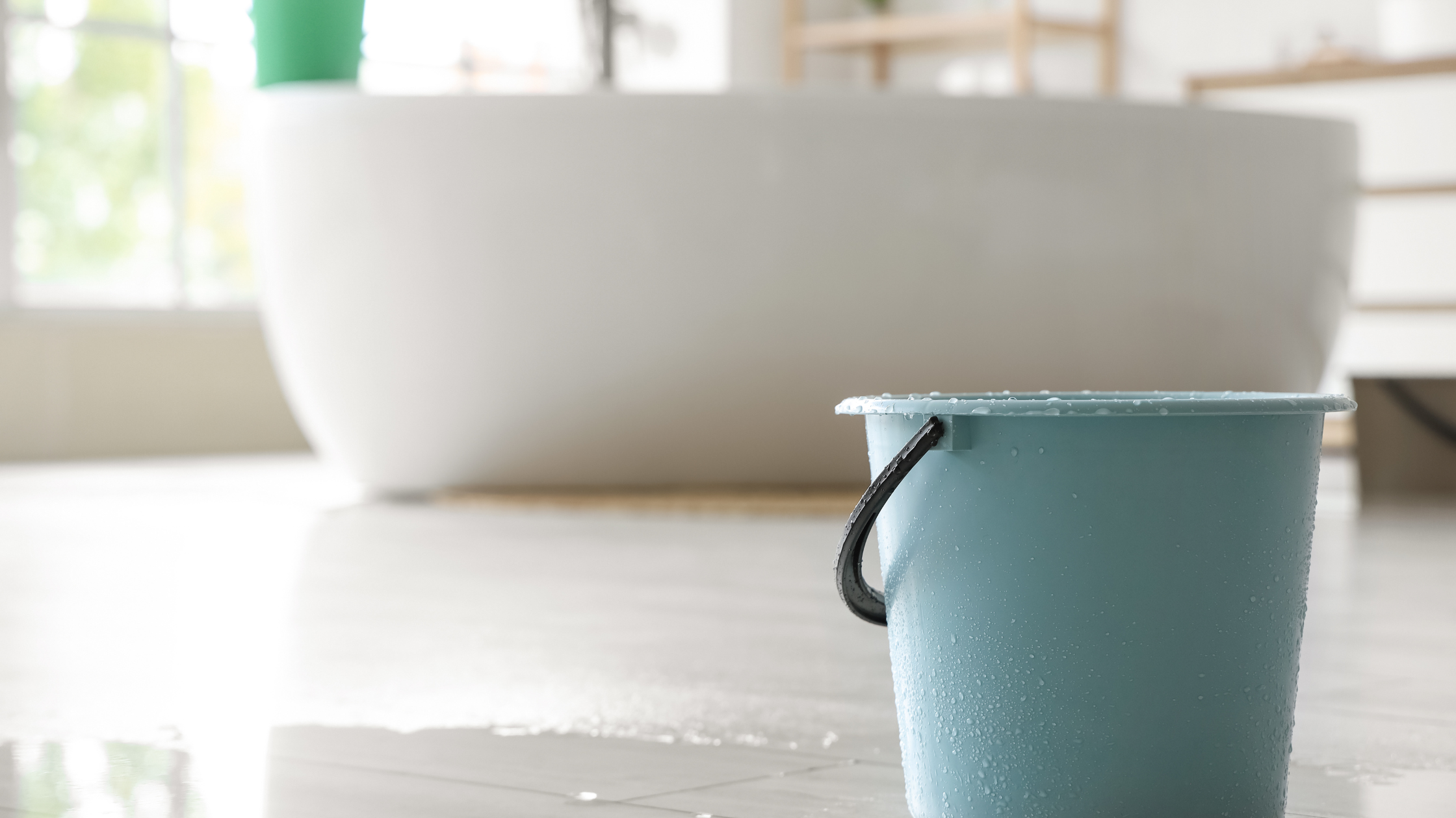 mold damage on attic plywood decking