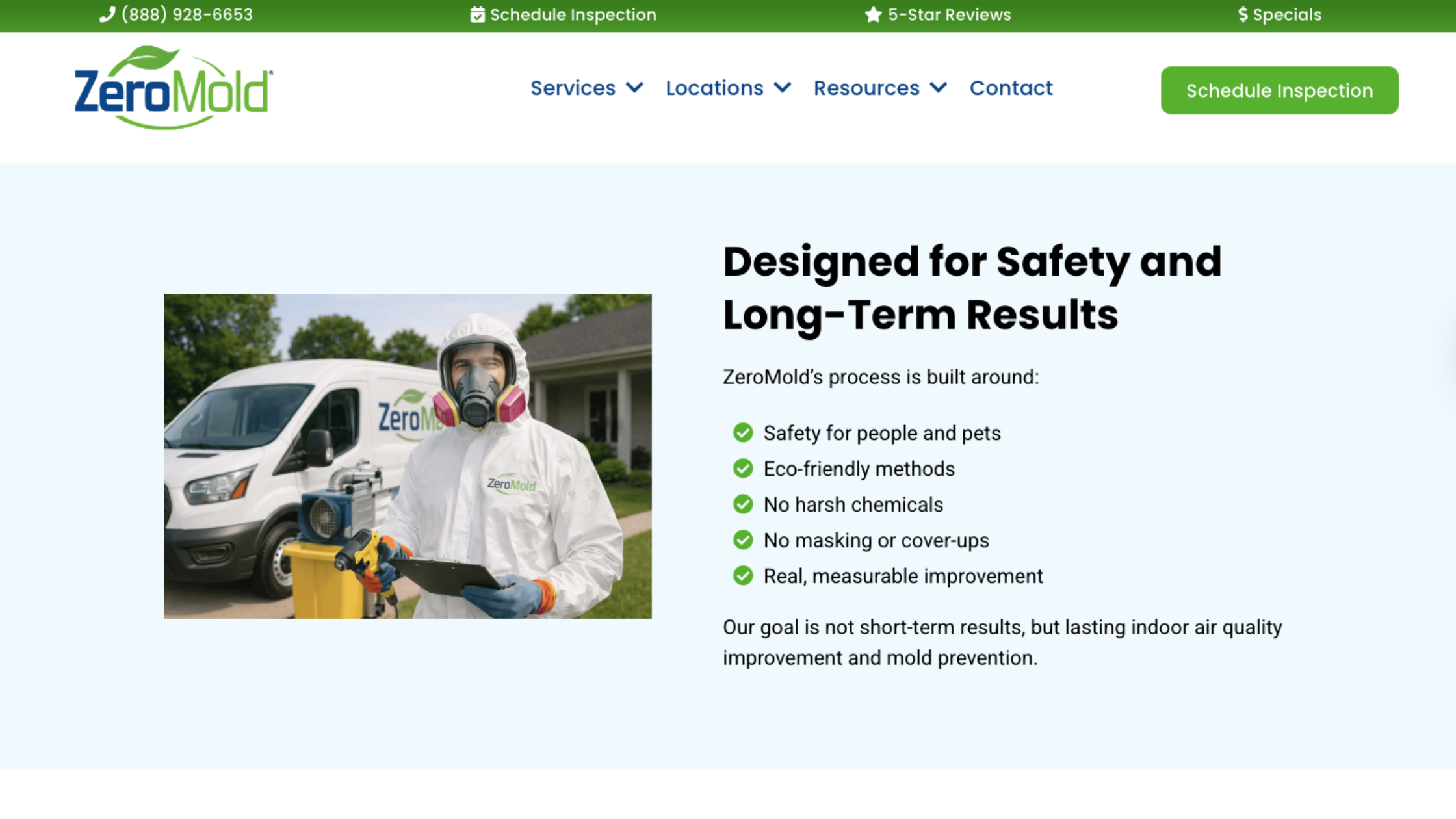 professional mold removal from attic beams