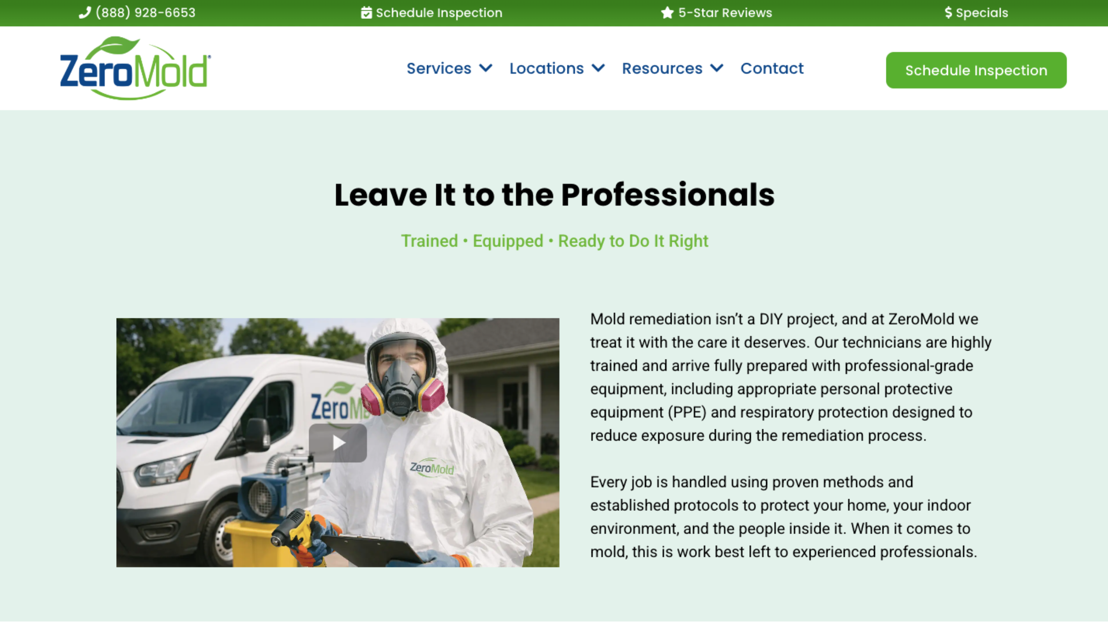 mold removal treatment on black mold in shower