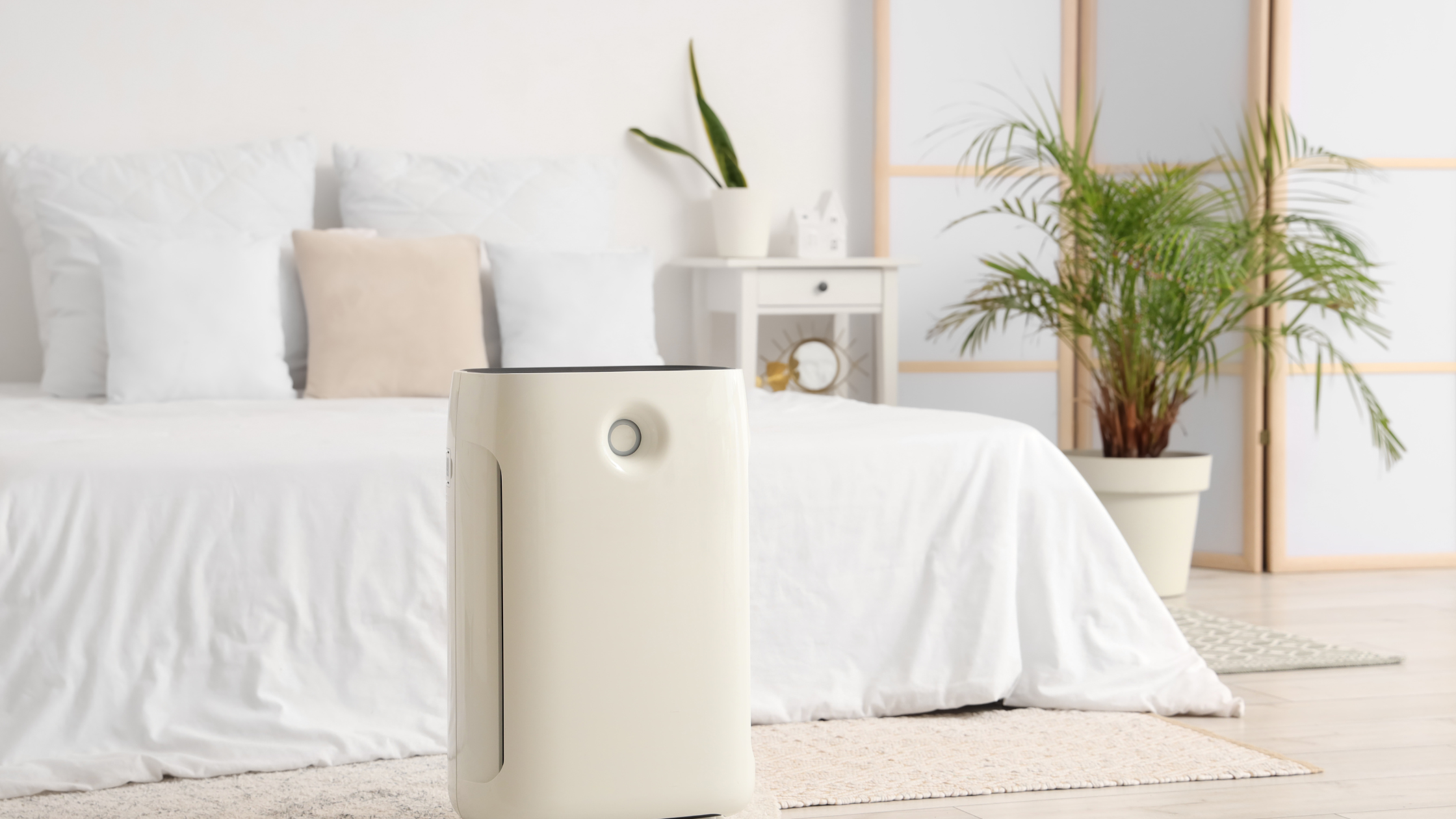 air purifier helping reduce mold spores in indoor air