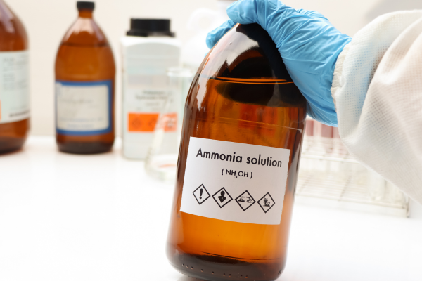 Does Ammonia Kill Mold? Or Is There a Better Way?