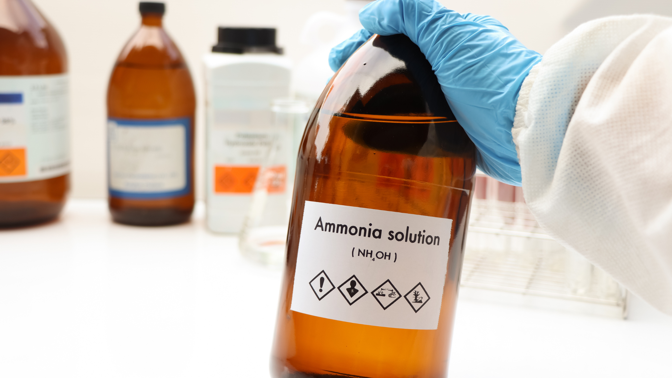 does ammonia kill mold in a home with black mold growth