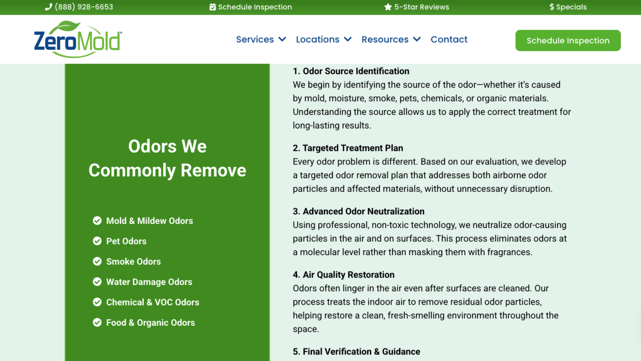 what does black mold smell like before and after professional mold remediation