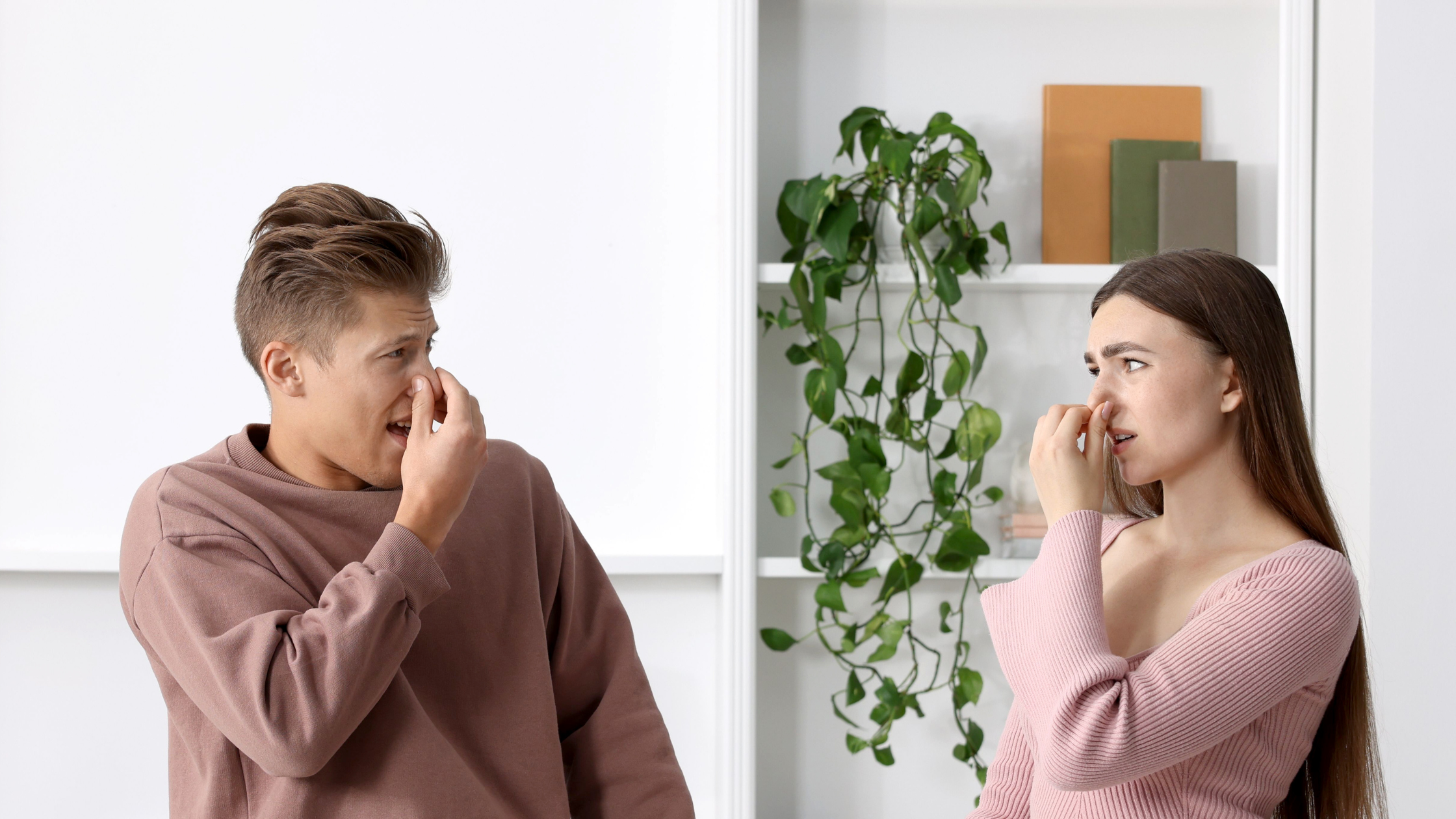 what does black mold smell like in a home with musty odor