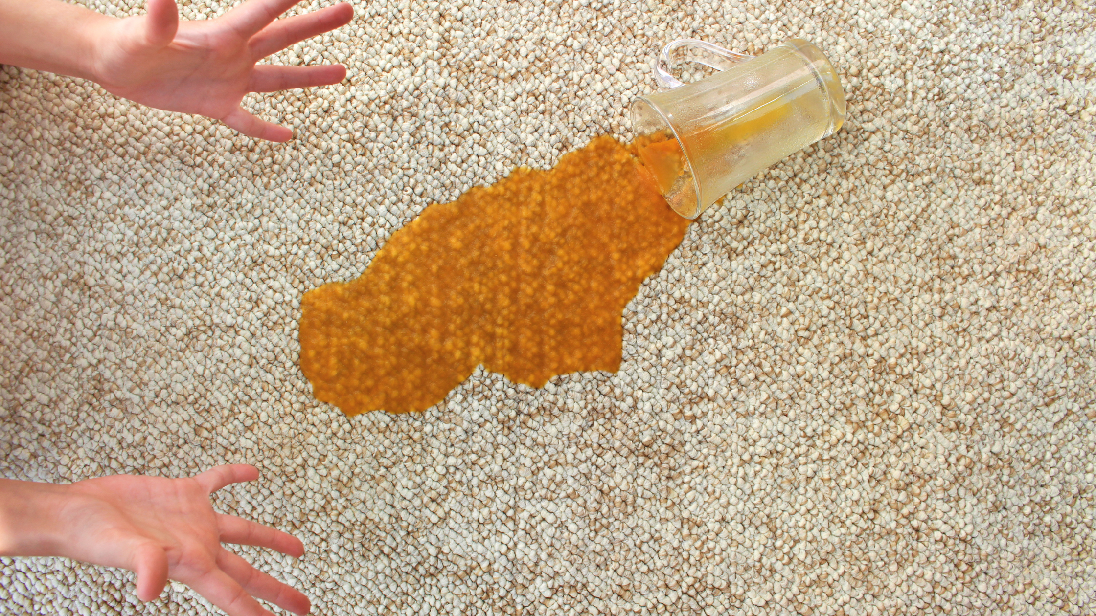 do landlords have to fix mold in a rental property with visible mold do landlords have to fix mold in a rental property with visible mold