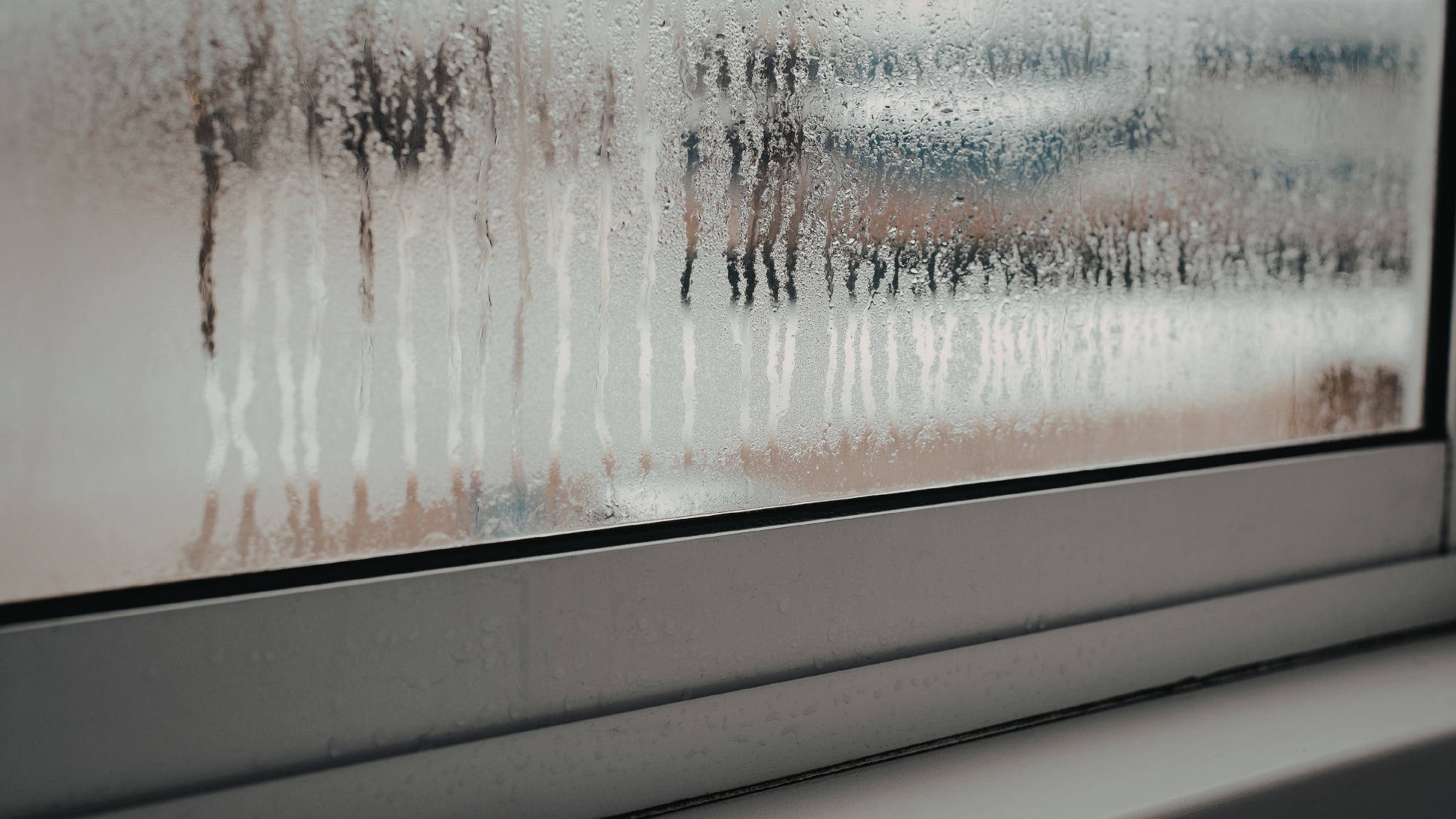 what causes mold in a house from condensation on windows
