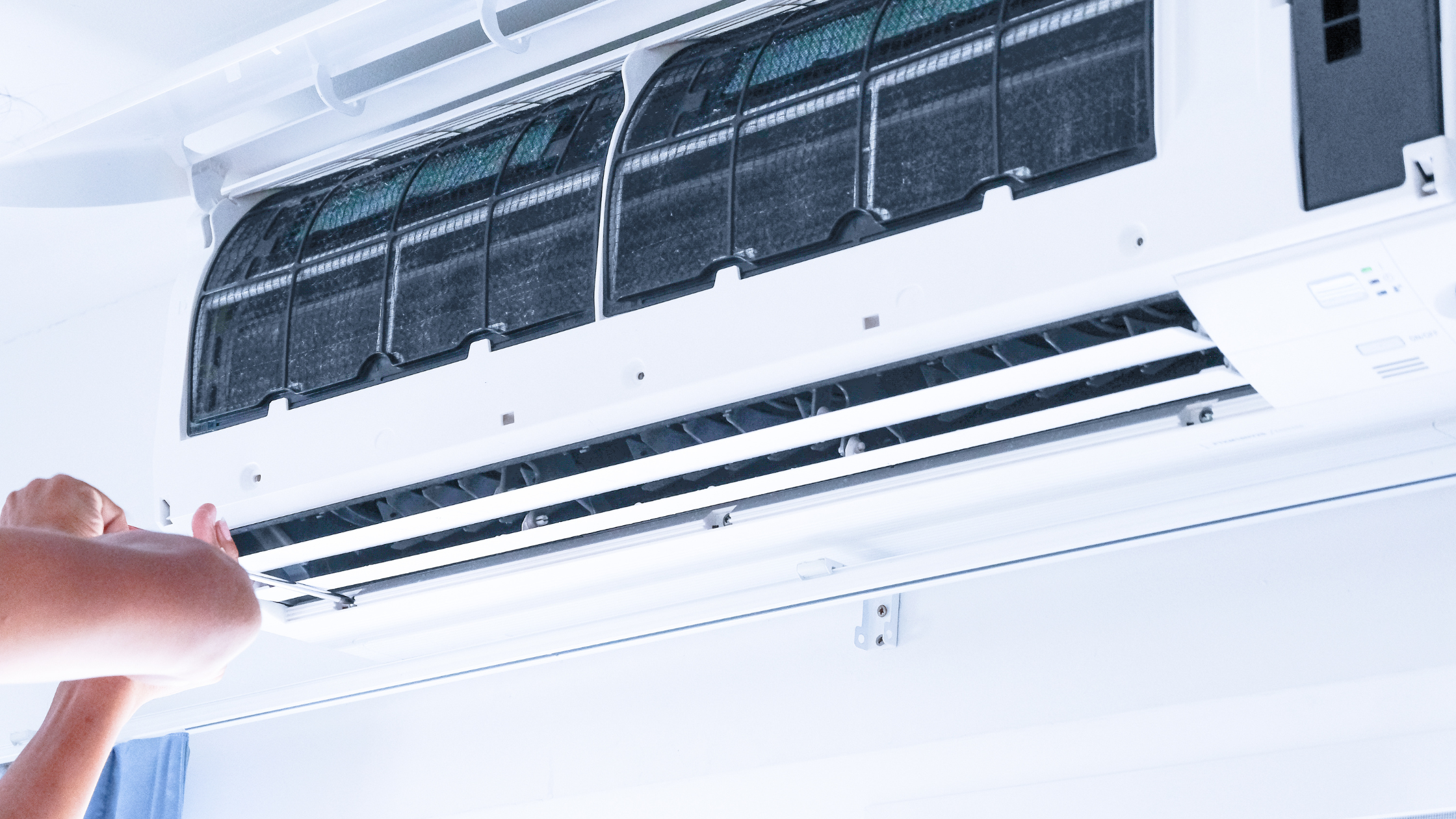 what causes mold in a house while learning how to prevent mold in home