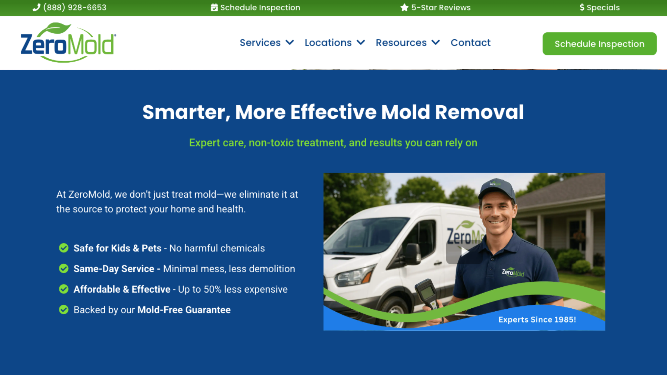 what does black mold smell like when professionals treat and remove mold odor