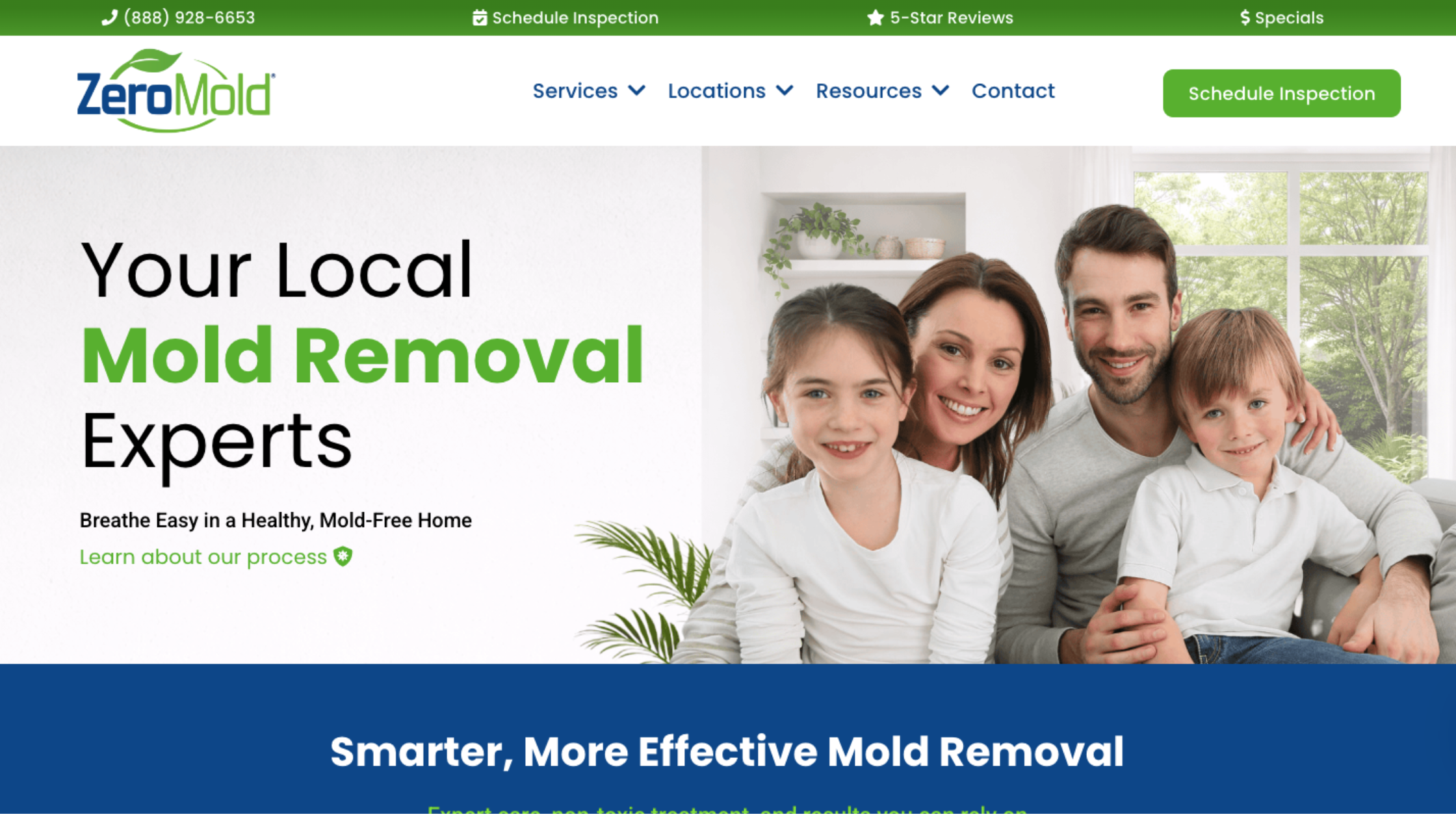 what causes mold in a house before professional mold removal
