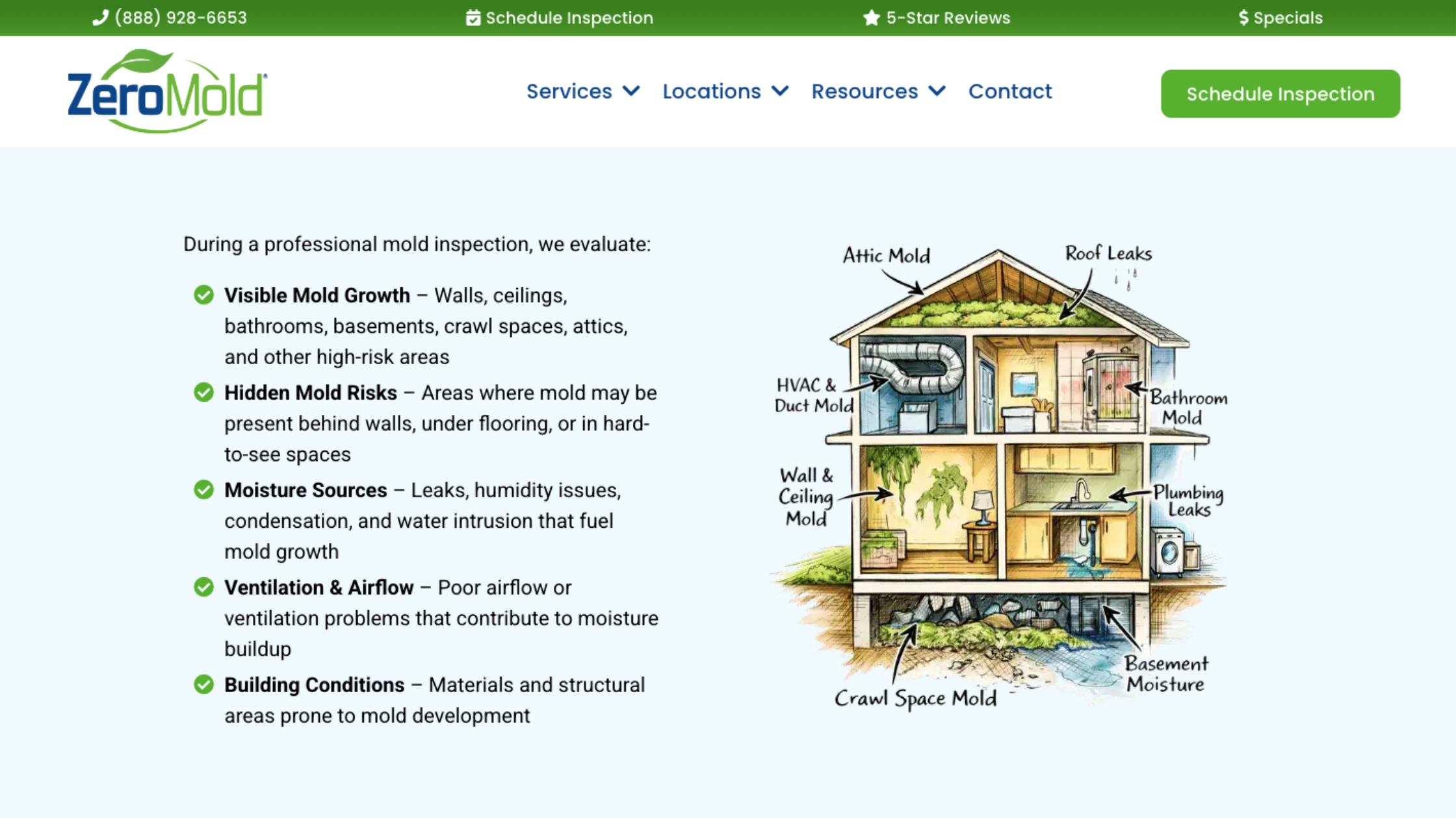how to detect black mold before and after professional mold remediation