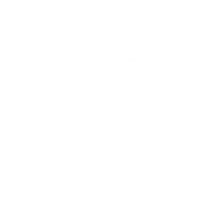 Master Painter Associate