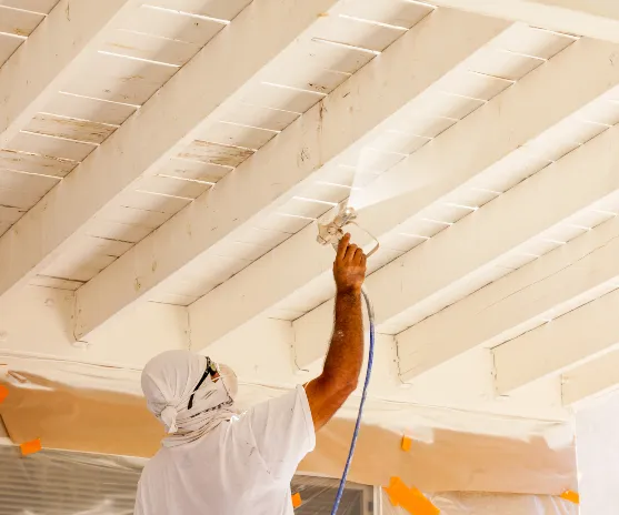 House Painter in Palmerston