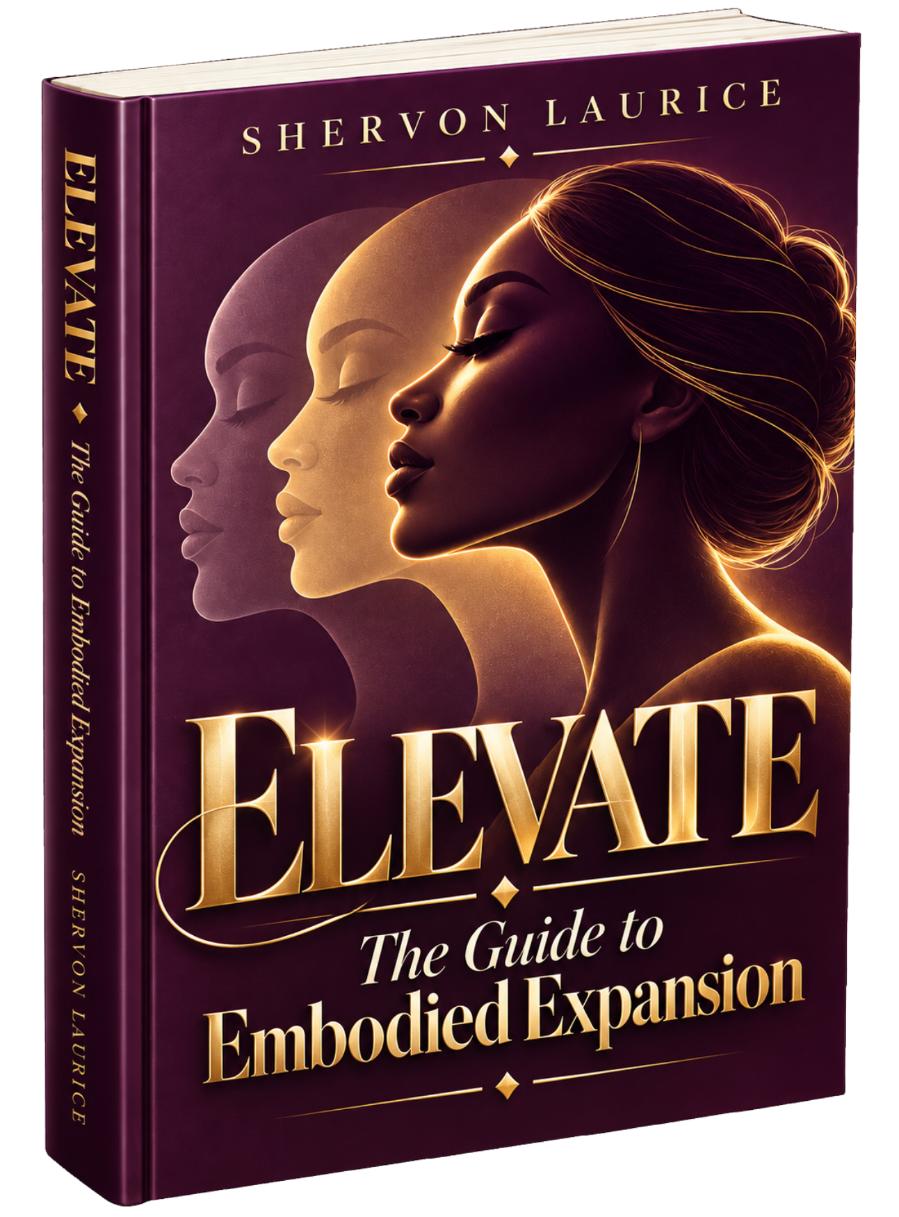 ELEVATE: The Guide to Embodied Expansion, a book by Shervon Laurice